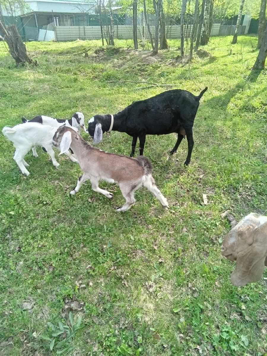 Фото автора.