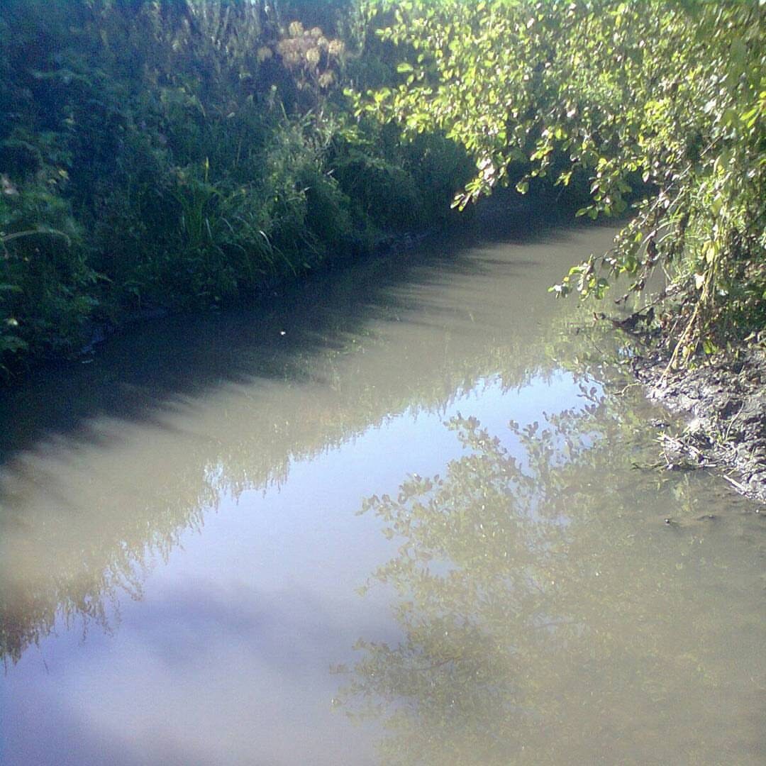 Река Мемяш возле полей ближе к Большой Якле.