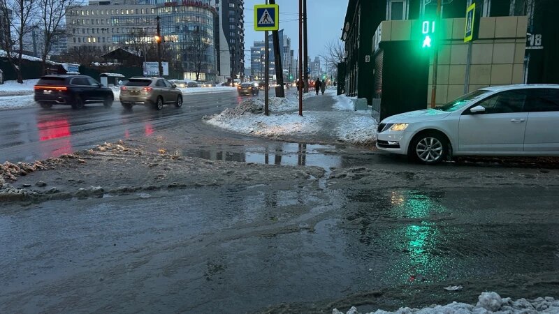     После январского дождя. Кристина Тарасова