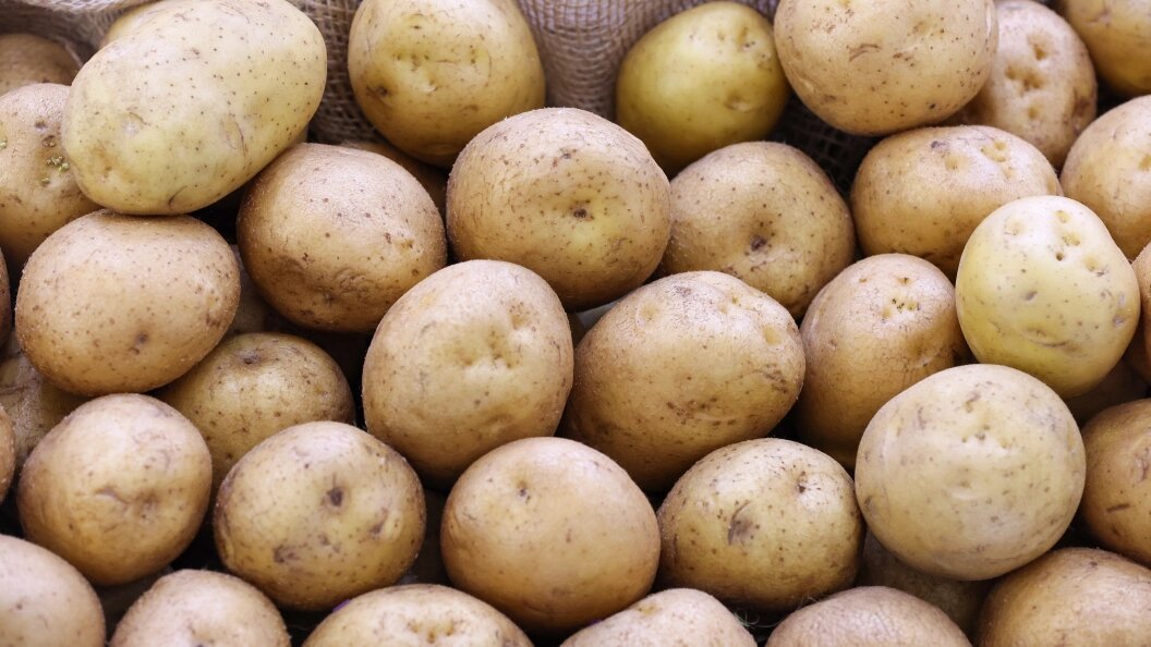    Фото: Belkin Alexey/Globallookpress