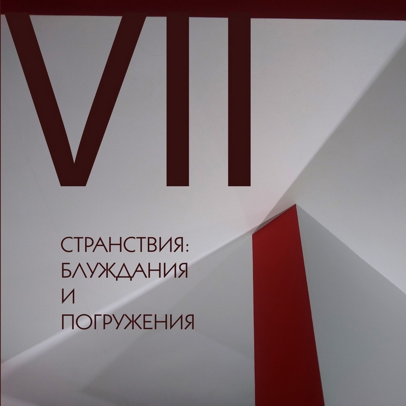Обложка сборника "С​т​р​а​н​с​т​в​и​я​: б​л​у​ж​д​а​н​и​я и по​г​р​у​ж​е​н​ия"
