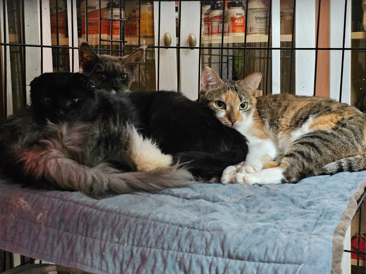 Фото автора. Ребята.