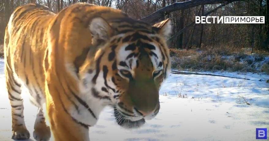    Источник фото: