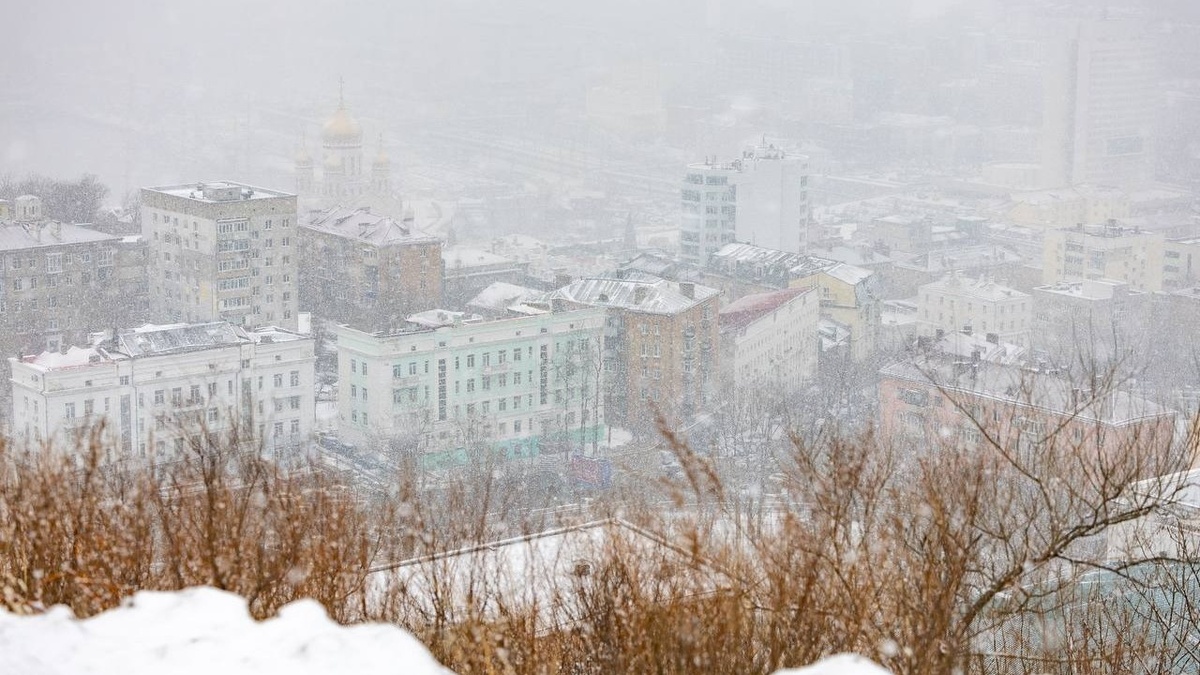     Источник: adm_vl