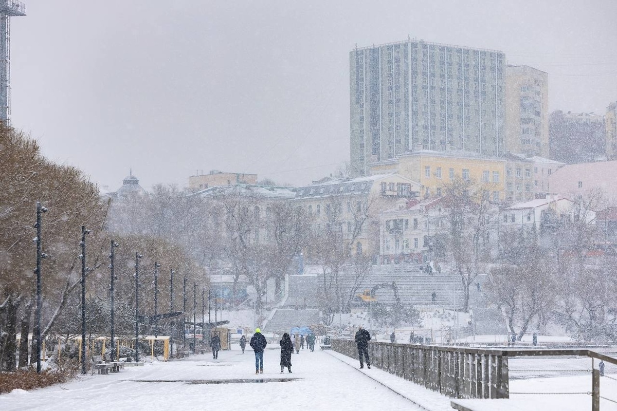     Источник: adm_vl