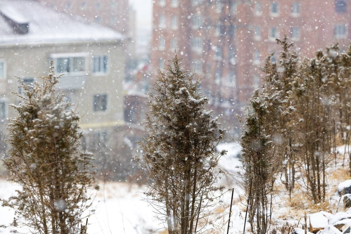     Источник: adm_vl