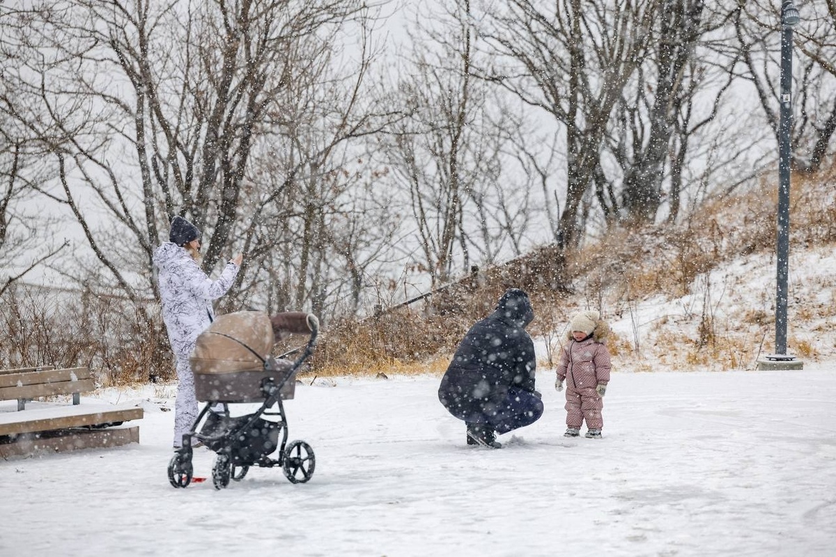     Источник: adm_vl