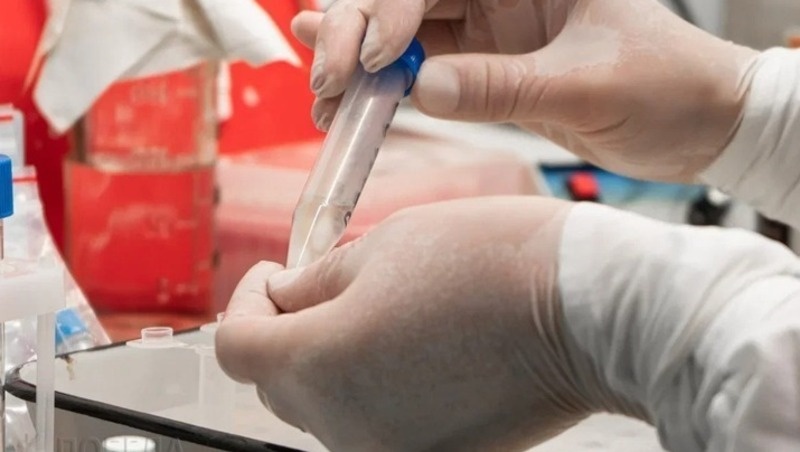      Фото: ИА «Победа26»