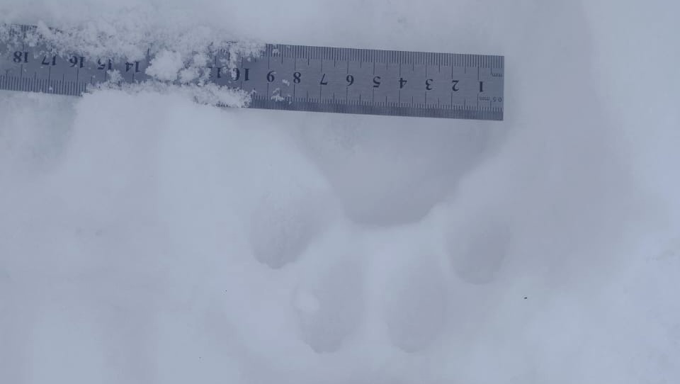     Источник: Предоставлено Сергеем Арамилёвым