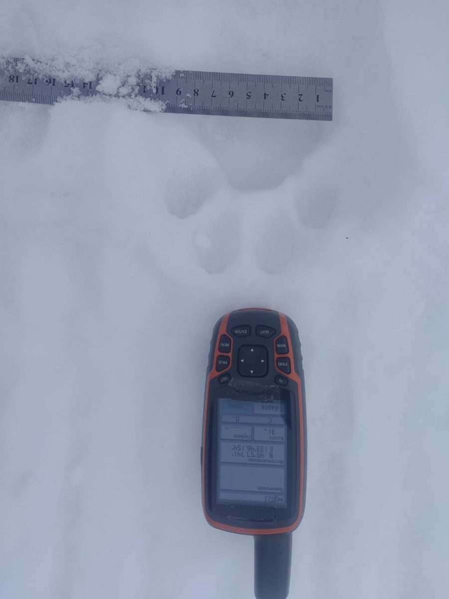     Источник: Предоставлено Сергеем Арамилёвым