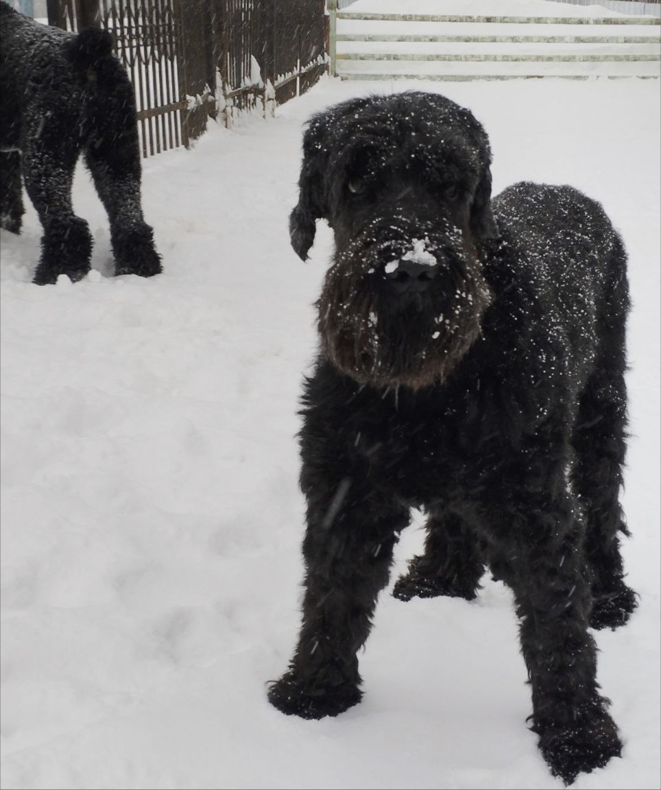Нюра- собственной персоной.