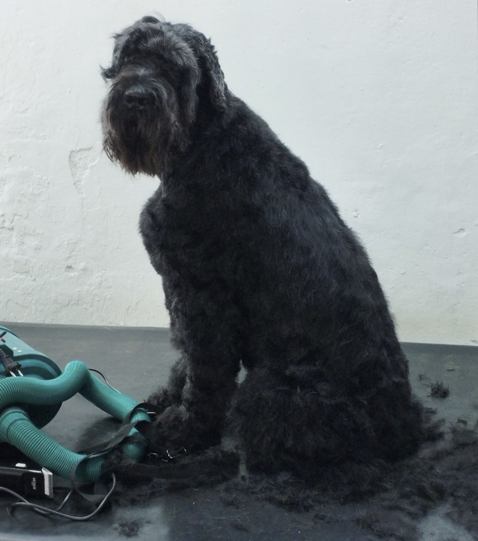 Красота требует жертв!