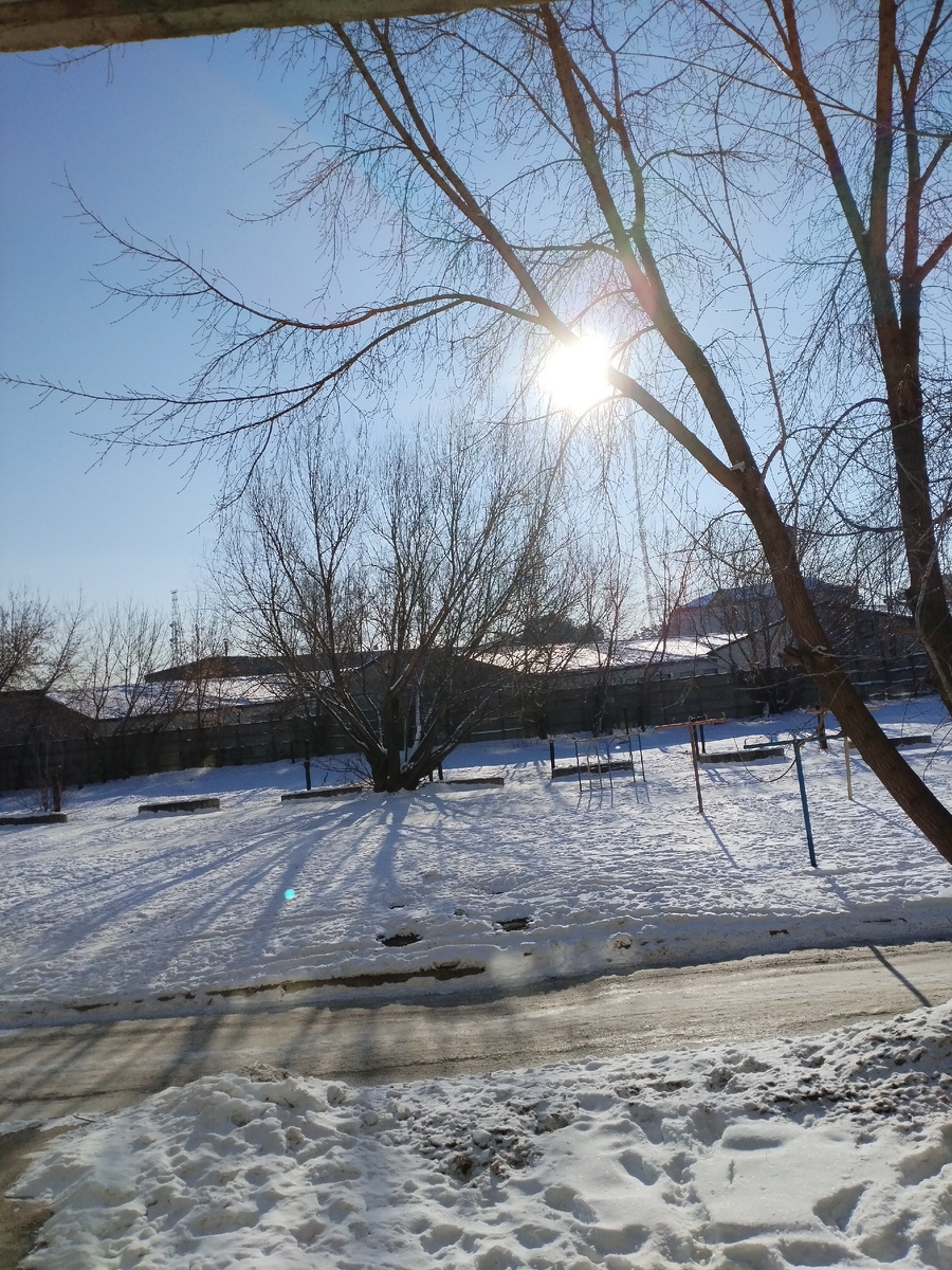 Солнечный день, красота ( вид из окна)