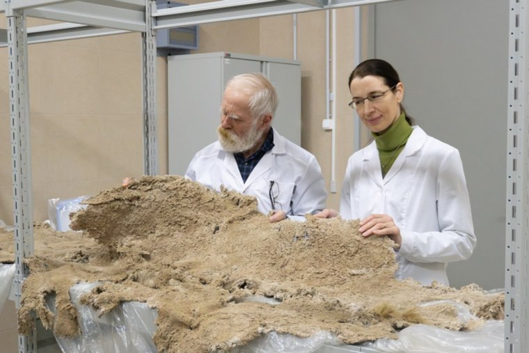 Стариков и Дьяконова изучают останки мамонта. Фото: Международный центр реставрации