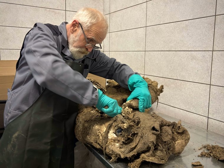 Шкуру обработали с помощью растворов и кислот. Фото: Международный центр реставрации