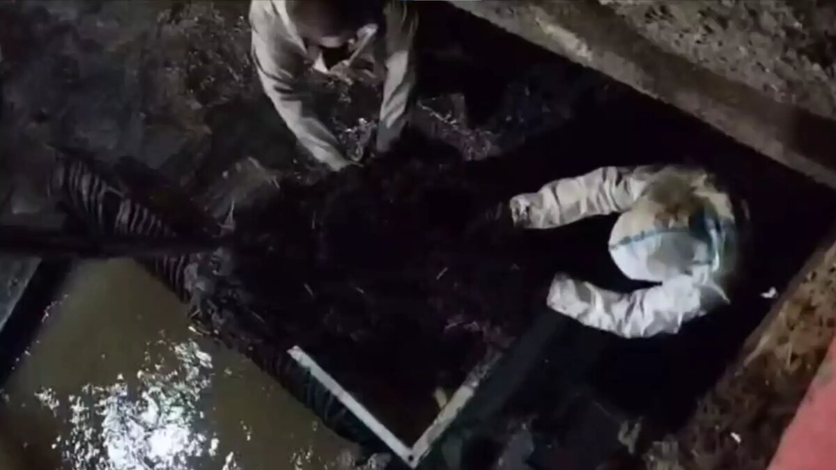     Источник: t.me/kraskom