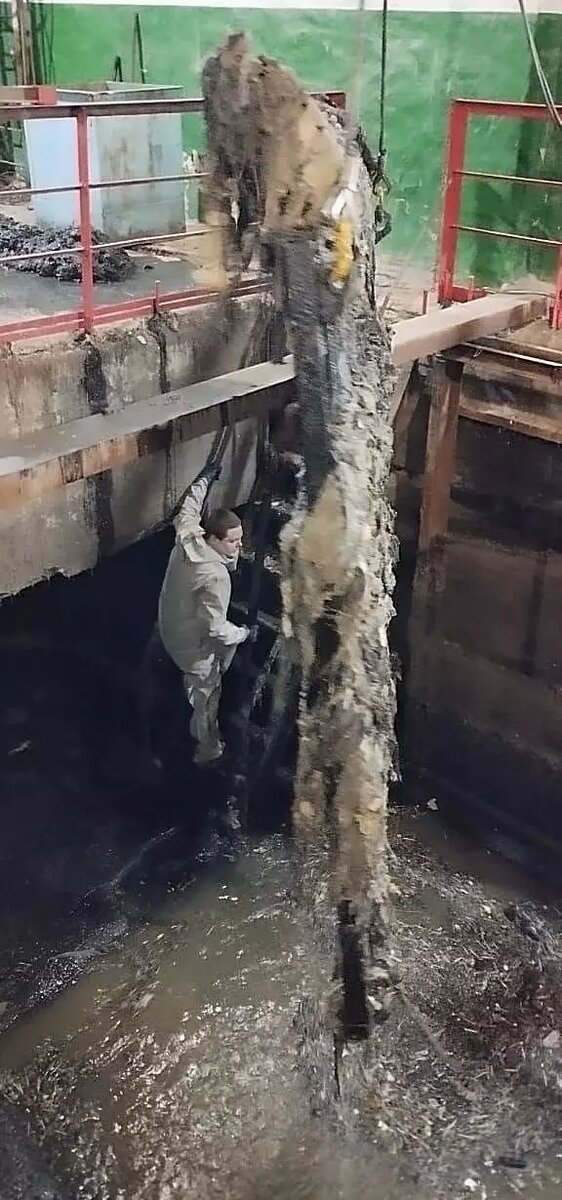     Источник: t.me/kraskom