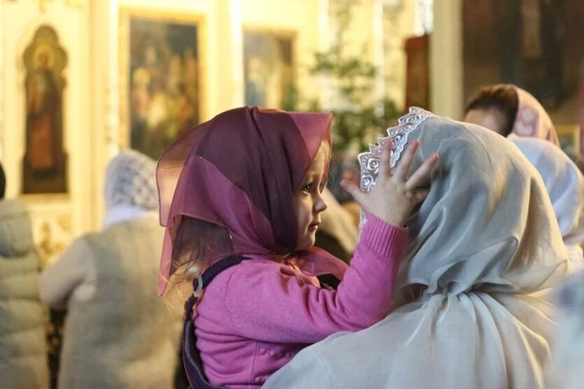 Фото: "Челябинская епархия, Московский зоопарк, Минпросвещения"