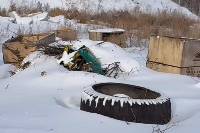    "Народный фронт". Свалку в 2023 году потребовал ликвидировать губернатор Челябинской области