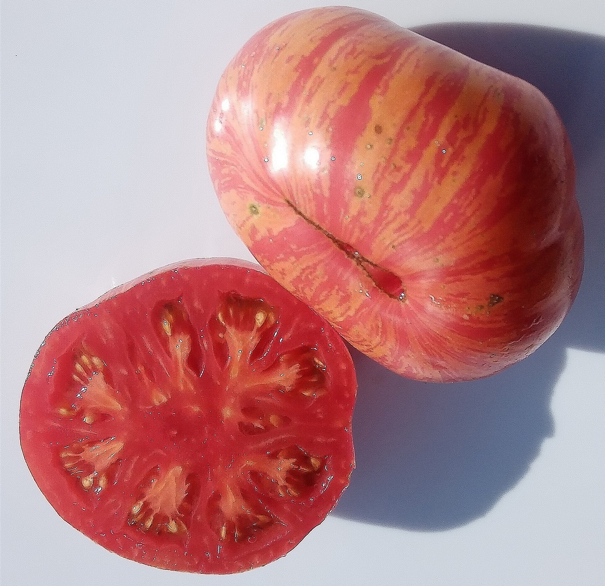 Фото автора. Винтаж вайн – очень красив! 