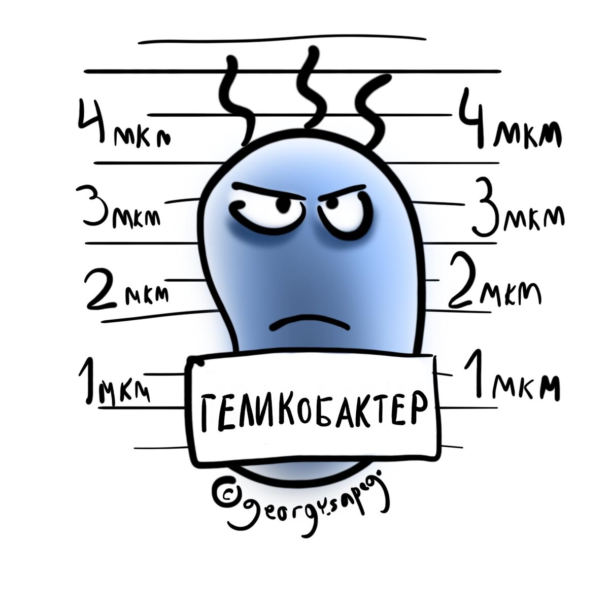 геликобактер