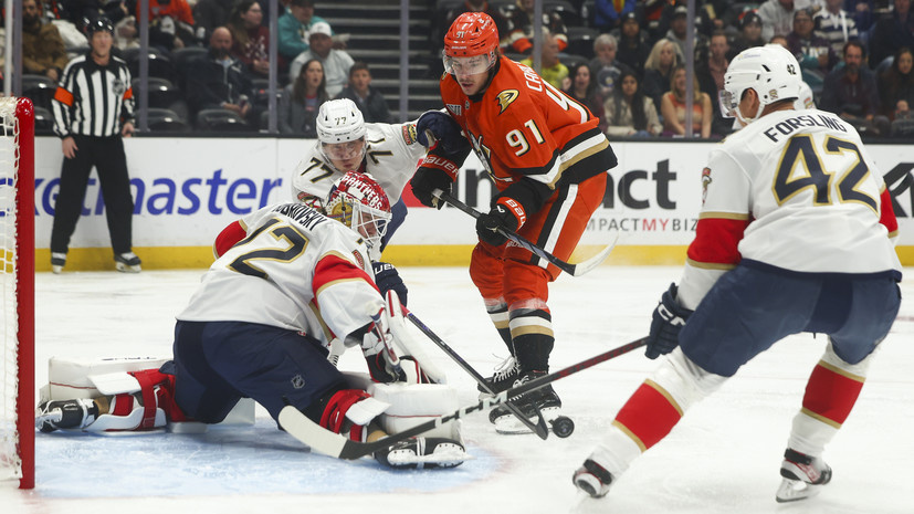   Gettyimages.ru Jessie Alcheh