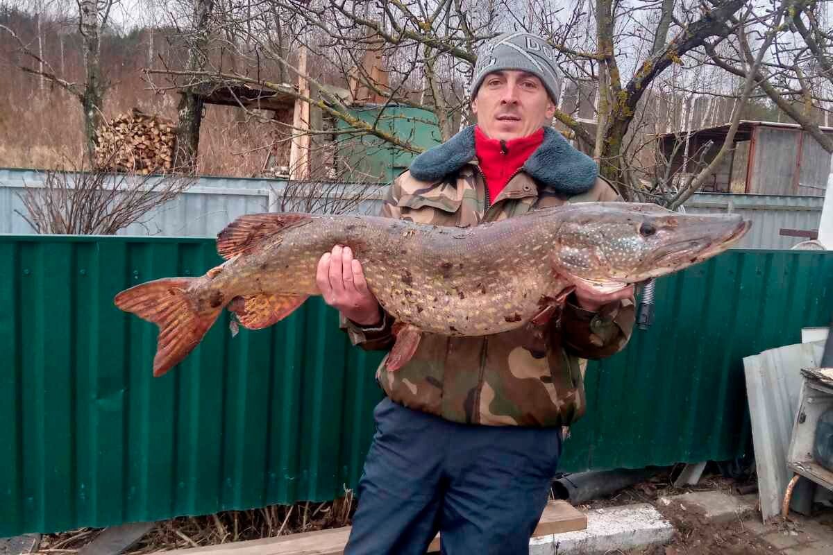    Фото: mogilev.in