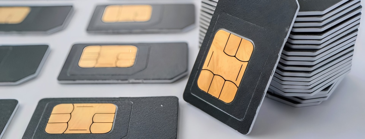    Автор фото: vostock-photo