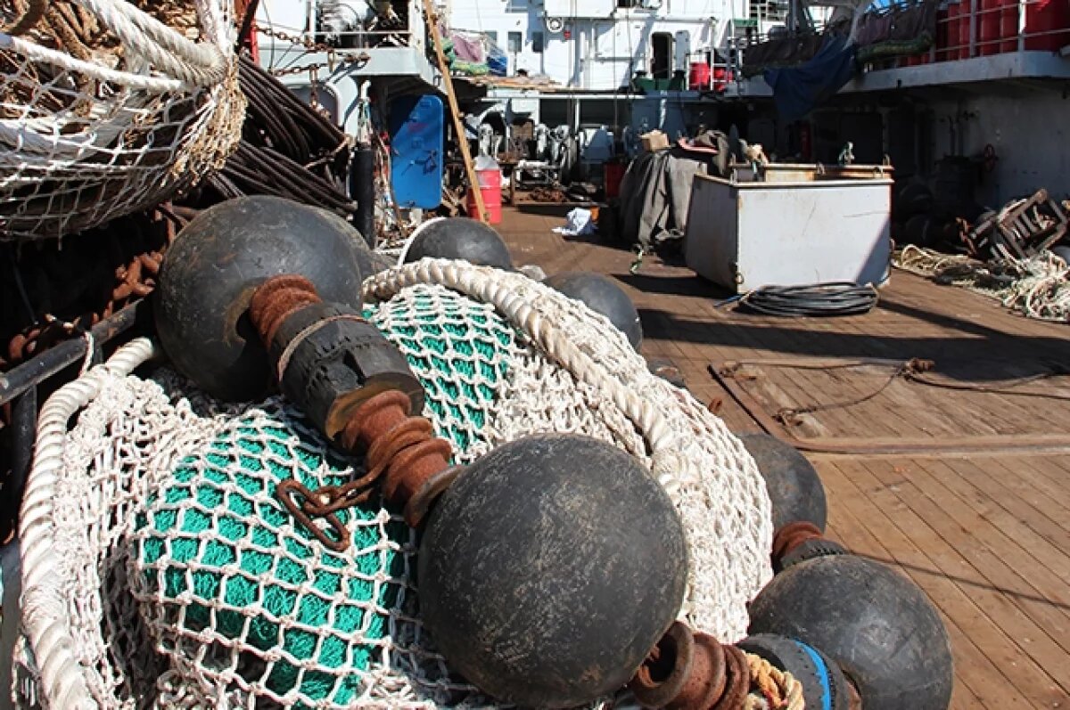    Камчатские рыбопромышленники обжалуют штраф в 1,9 млрд в Верховном суде