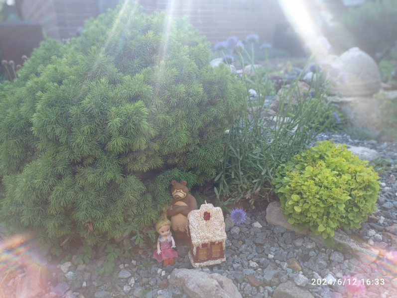 в шаге от дври