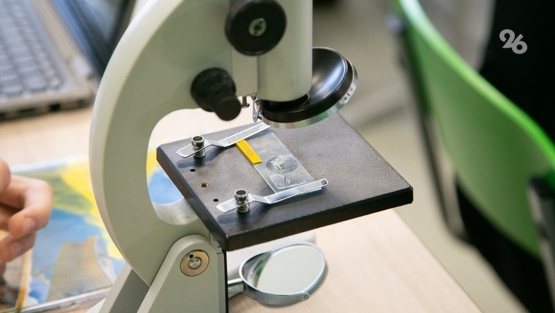    Школу №5 обновляют по госпрограмме Фото: Валерия Алтухова / / ИА «Победа26»