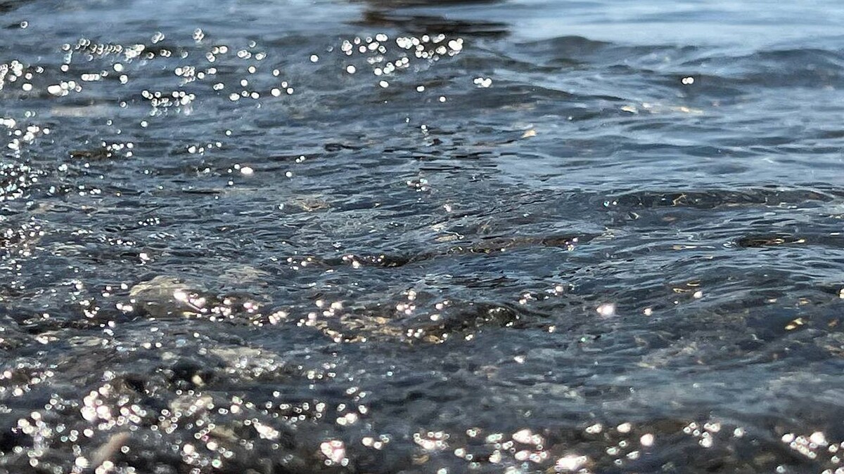    Фото: телеканал «Краснодар»