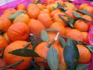 Фото: пресс-служба Уральского межрегионального управления Россельхознадзора