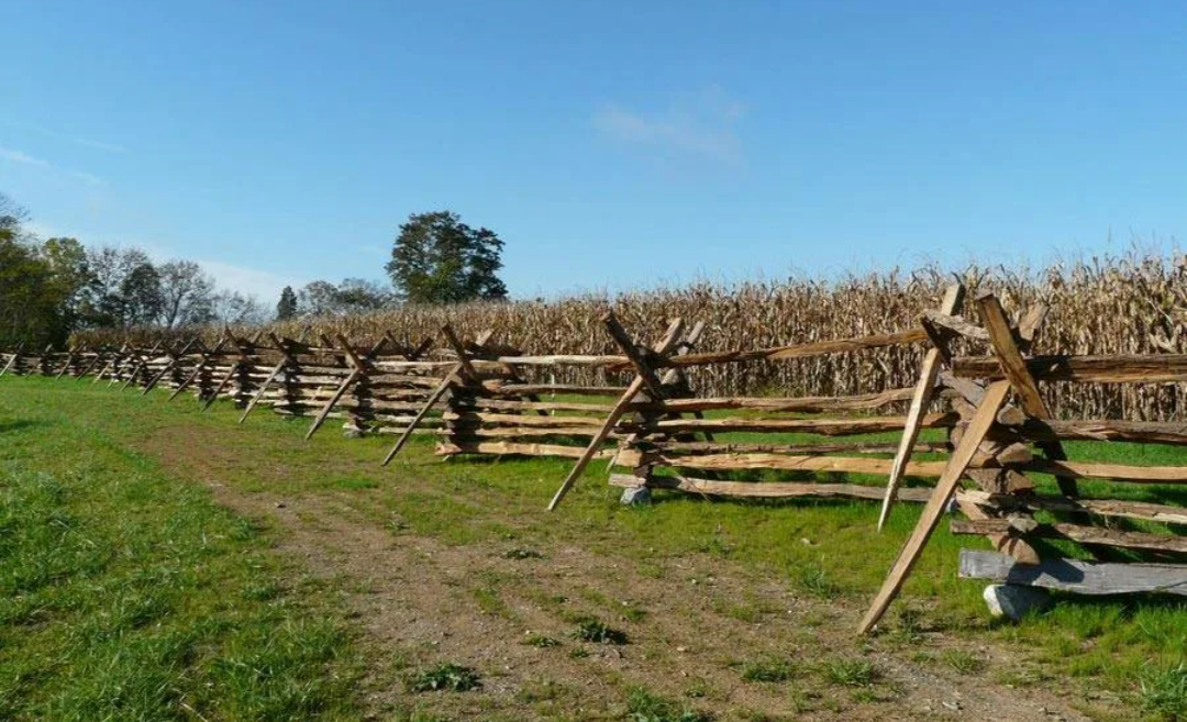 Картинка из интернета 