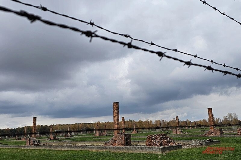    Фото:  АиФ/ Геогрий Зотов