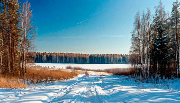 Ясный день 23 января — к ранней весне и жаркому лету. Фото: shedevrum.ai