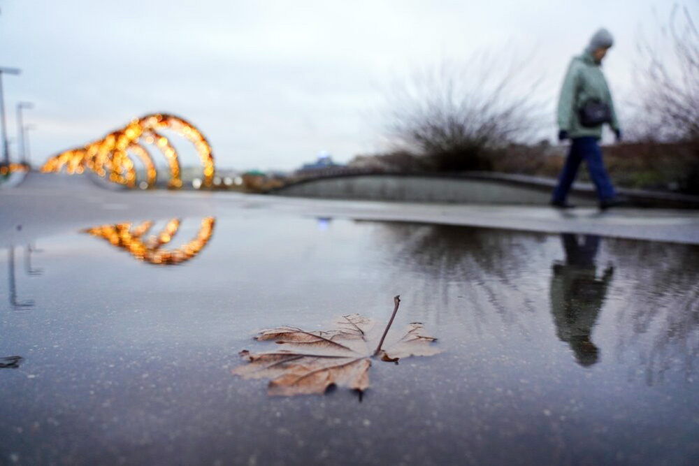    ©Агентство городских новостей "Москва"