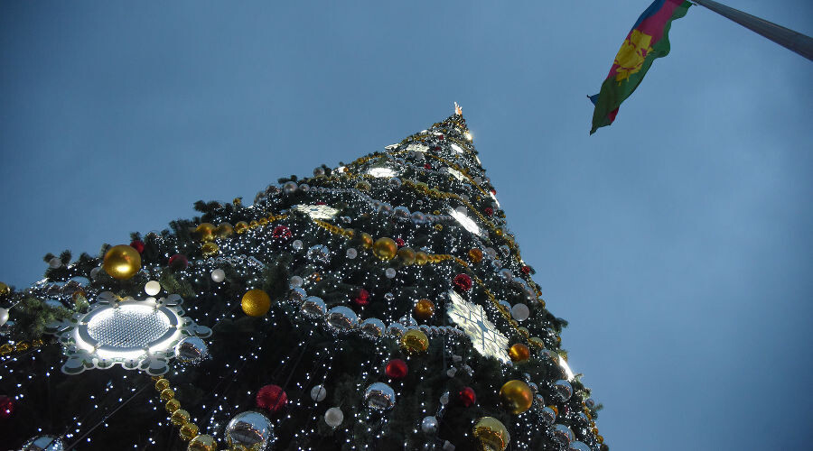   Фото Елены Синеок, Юга.ру