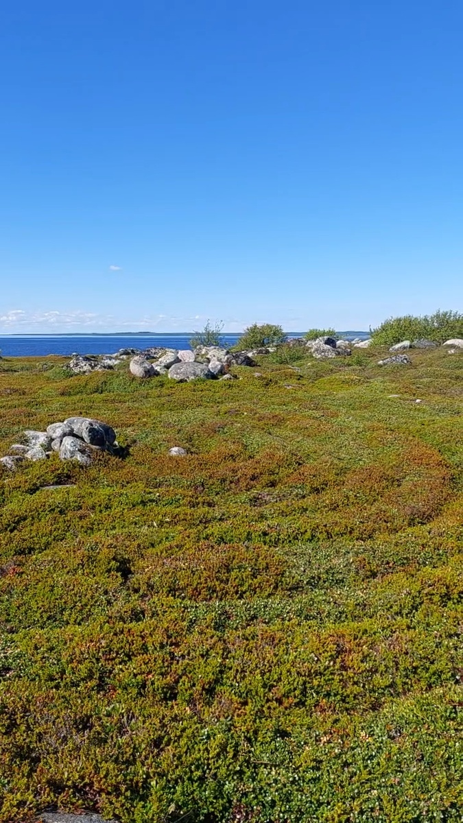 Лабиринты Большого Заяцкого острова