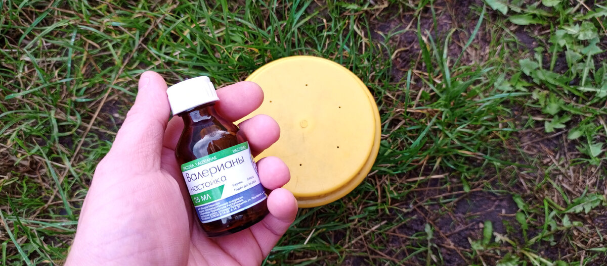 Фото с сайта: https://avatars.dzeninfra.ru