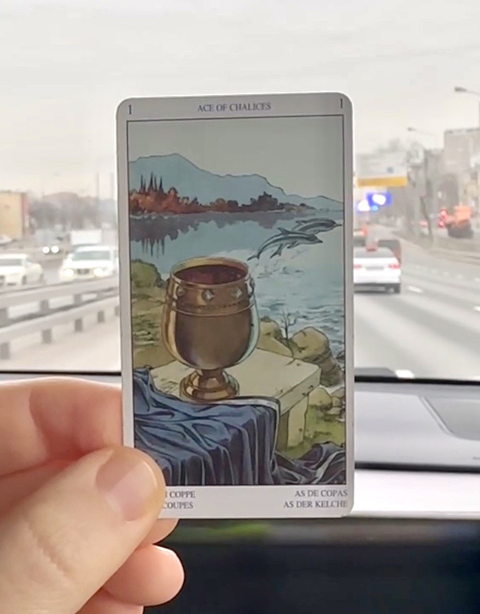 #таро #прогноз #картадня #чаша