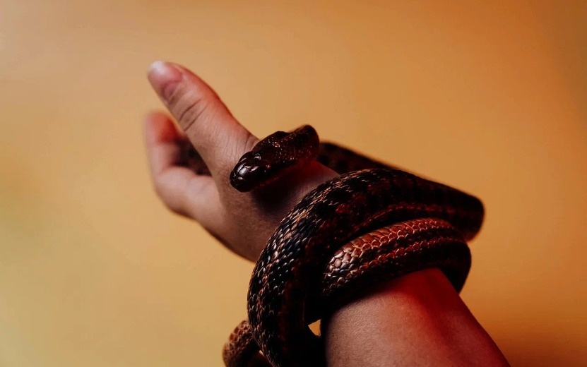    Гороскоп на 23 января 2025 года: день важных решений и серьезных перемен для всех знаков Зодиака