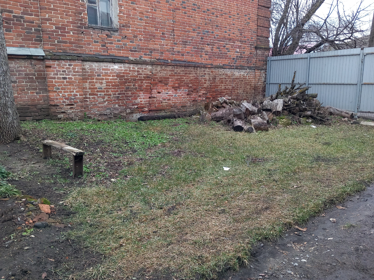 Наш двор 22.01.25г