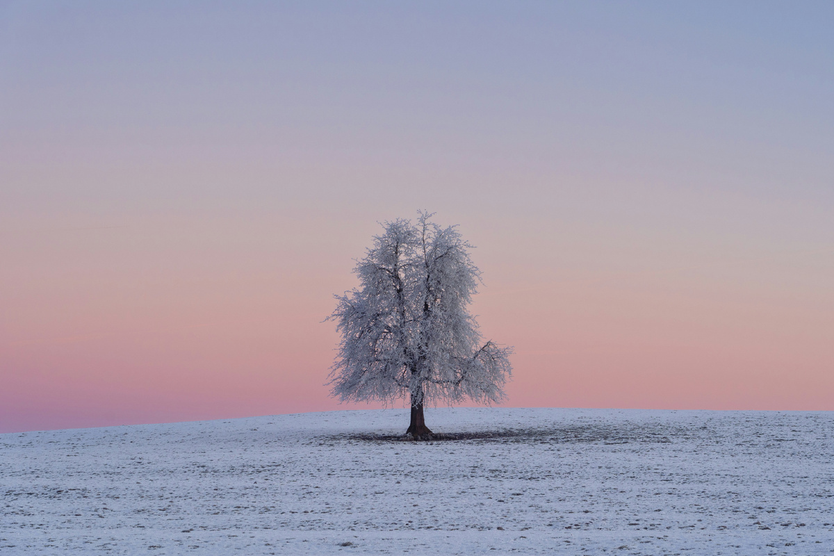 Картинка с бесплатного фотостока https://unsplash.com, автор Pascal Debrunner