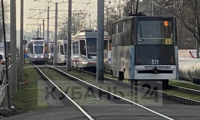    Фото «Кубань 24»