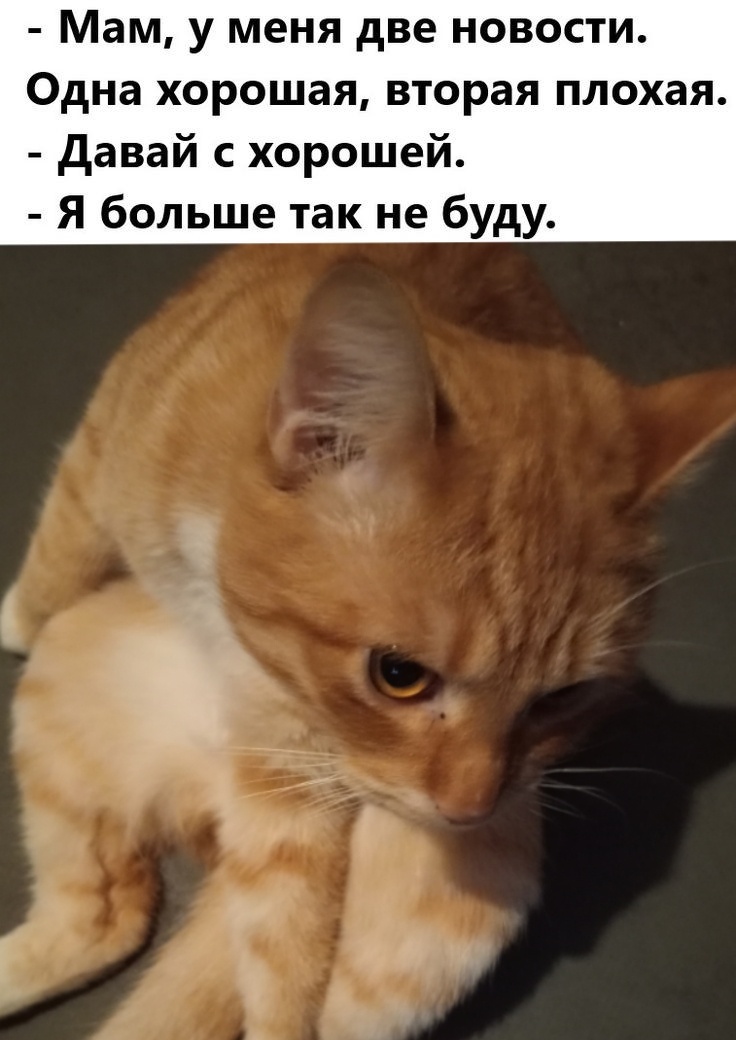 Прости меня в предпоследний раз!