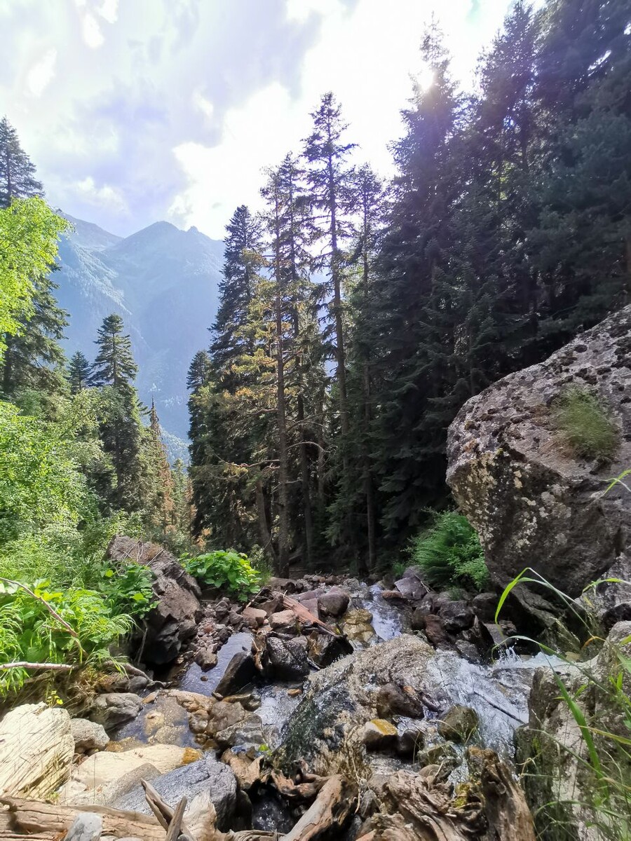 Где-то на Кавказе 