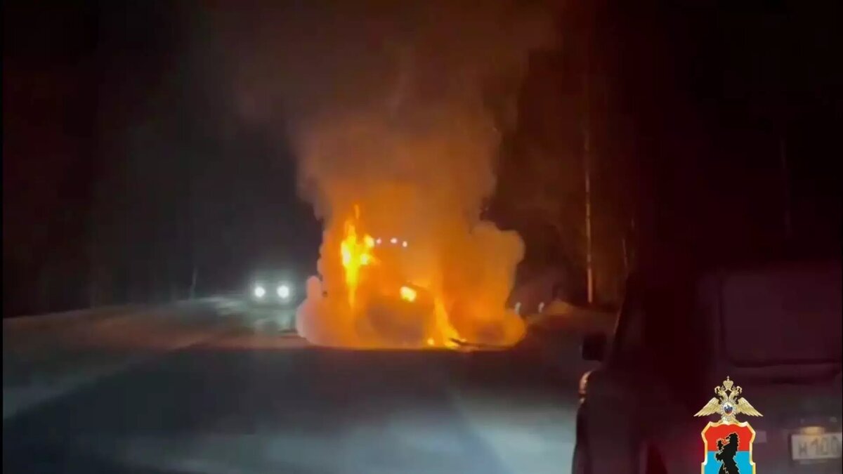     Источник: скриншот видеозаписи