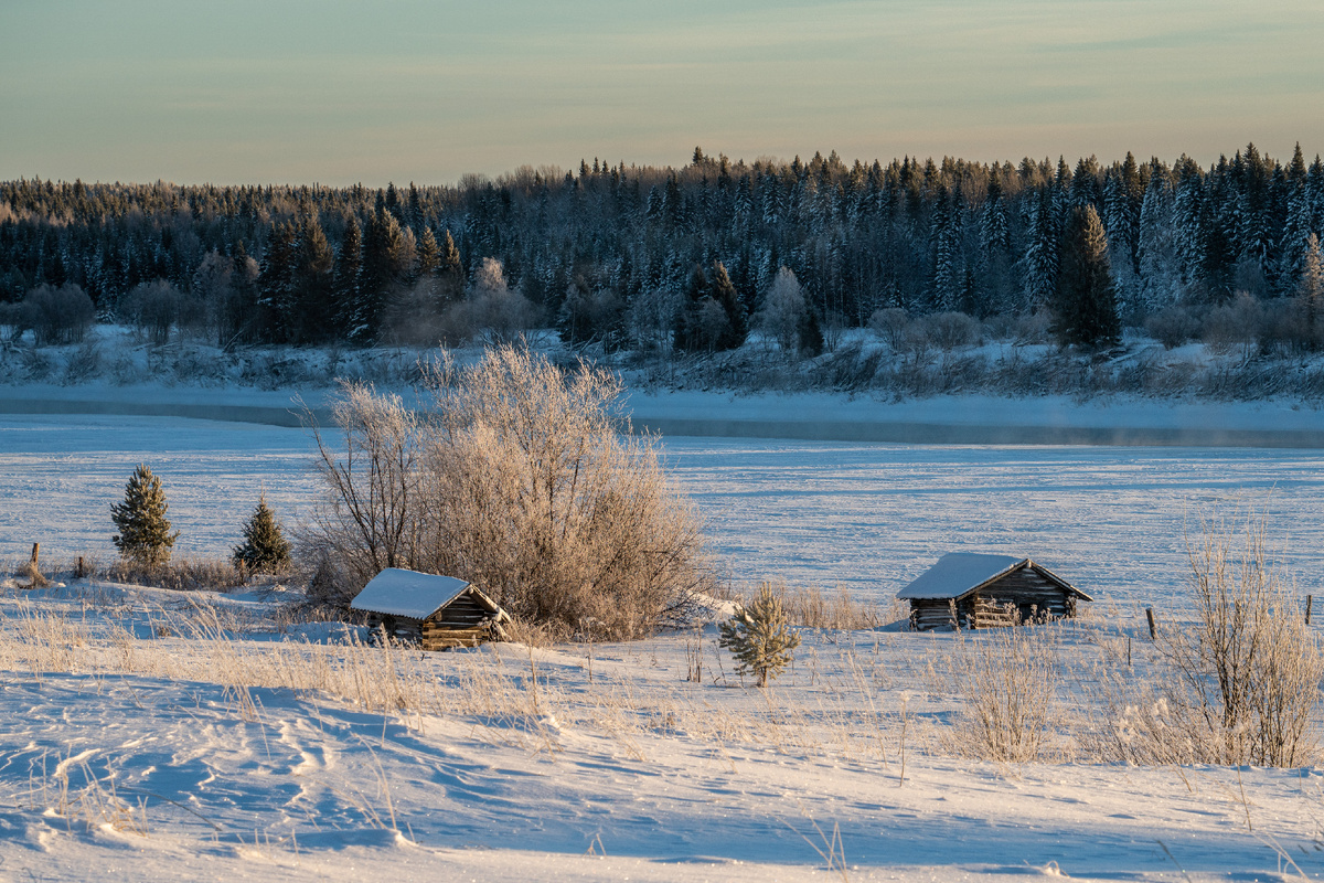 амбары в деревне на берегу Пинеги