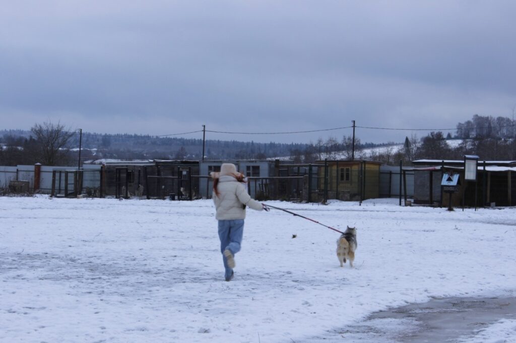 Фото: Евгения Федорова / АСИ